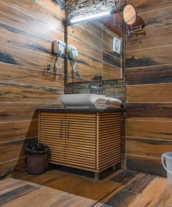 Duplex Room's Washroom Picture