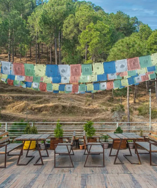 Roof top of Kasauli Apartments